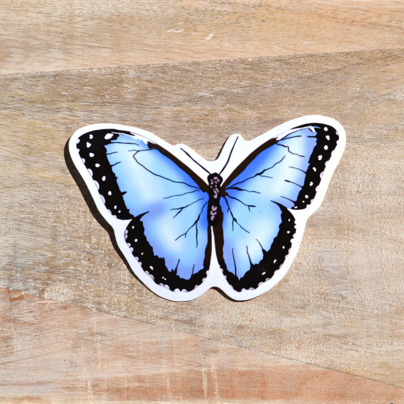 Blue butterfly sticker