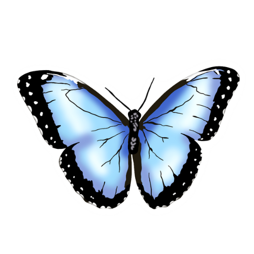 Blue butterfly sticker