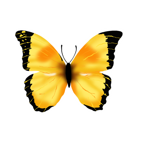 Yellow butterfly sticker
