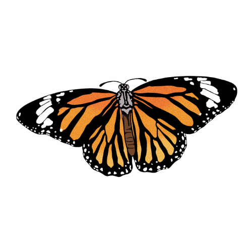 Monarch sticker