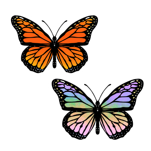 Butterfly sticker