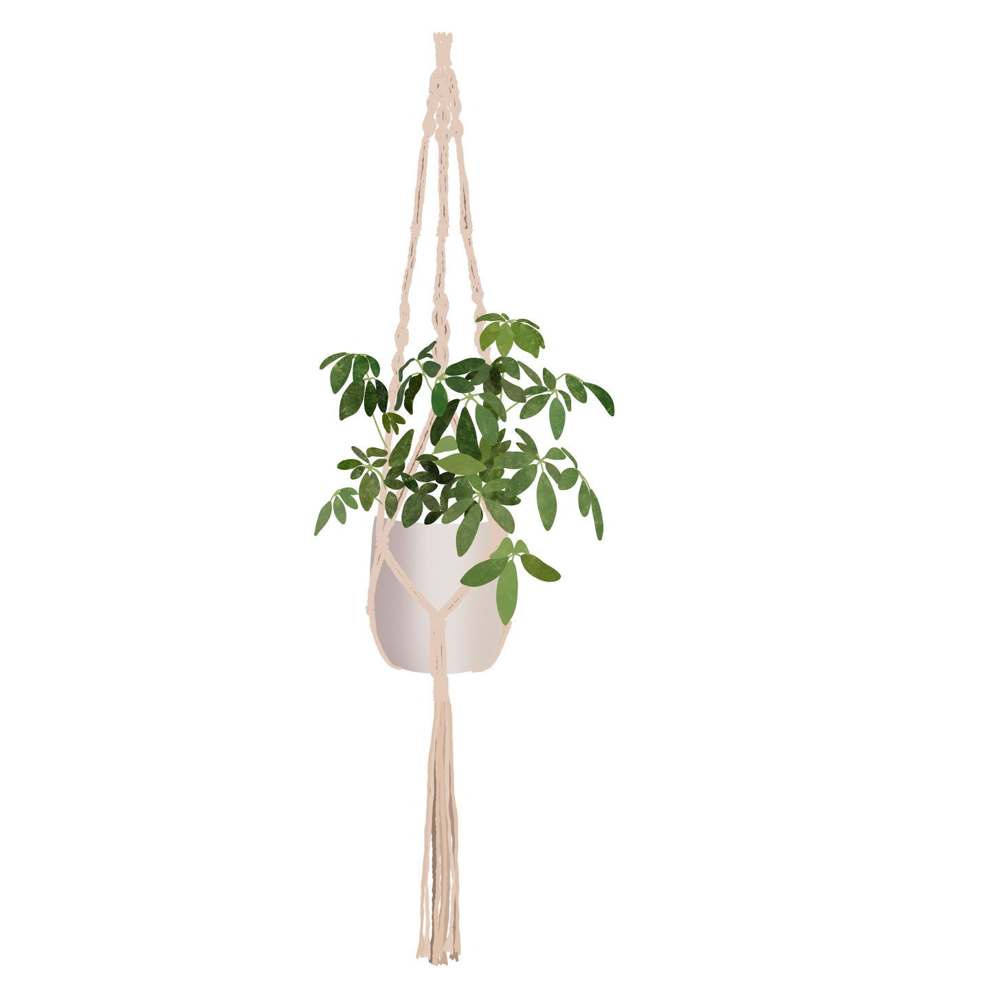 Plant hanging sticker