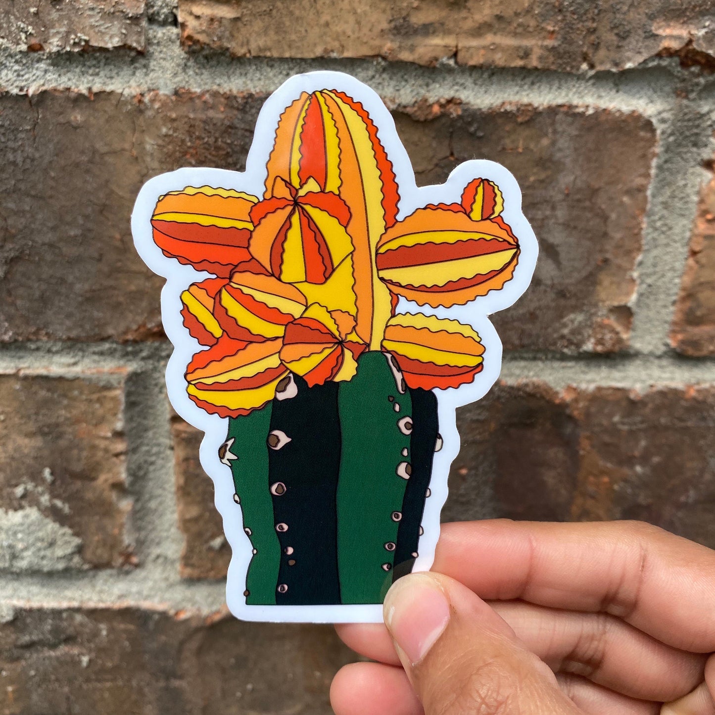 Pegatina Cactus florecido