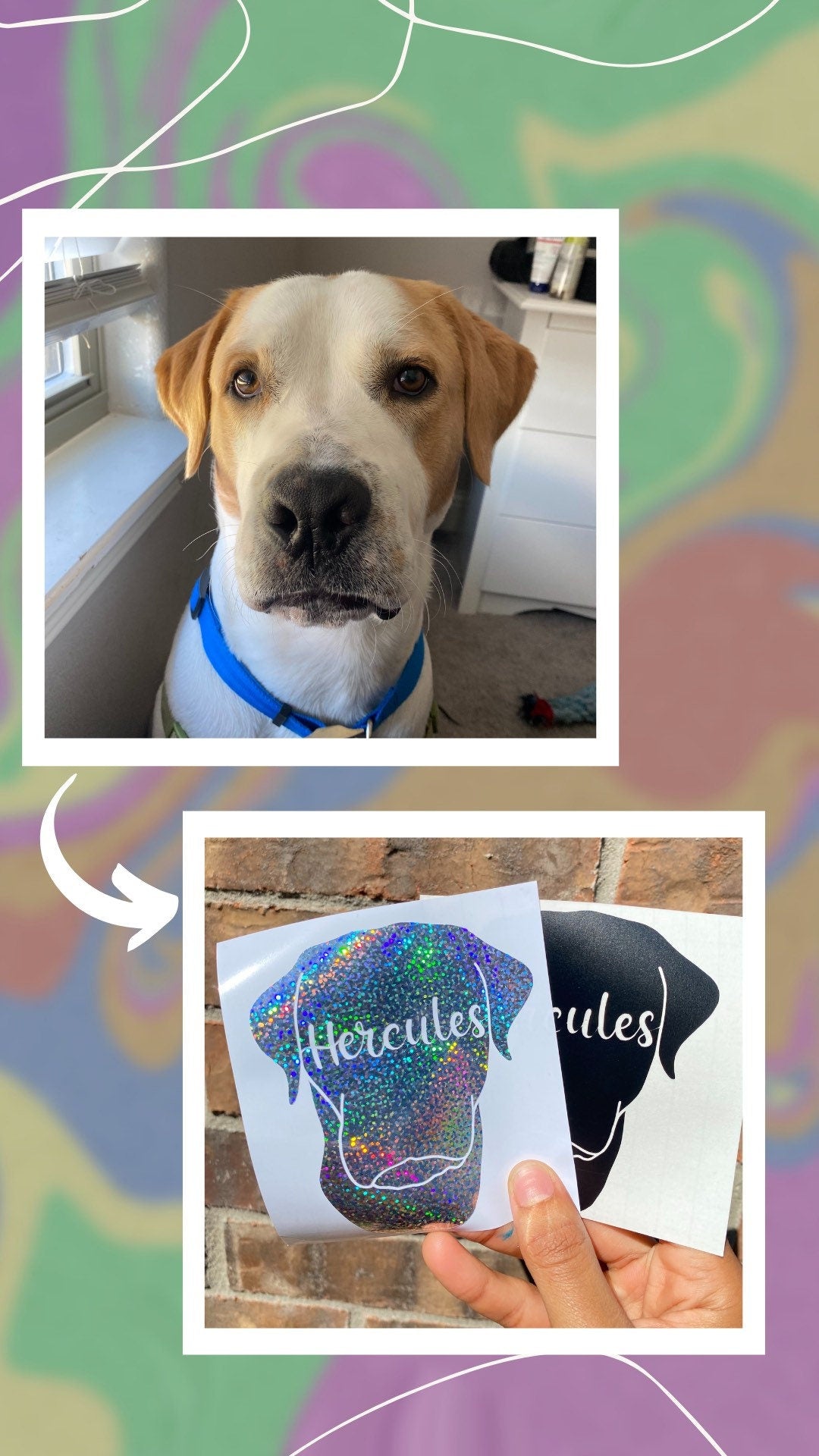 Pet Decal | Calcomanía de animal | Personalize decal | Custom decal | Custom pet decal