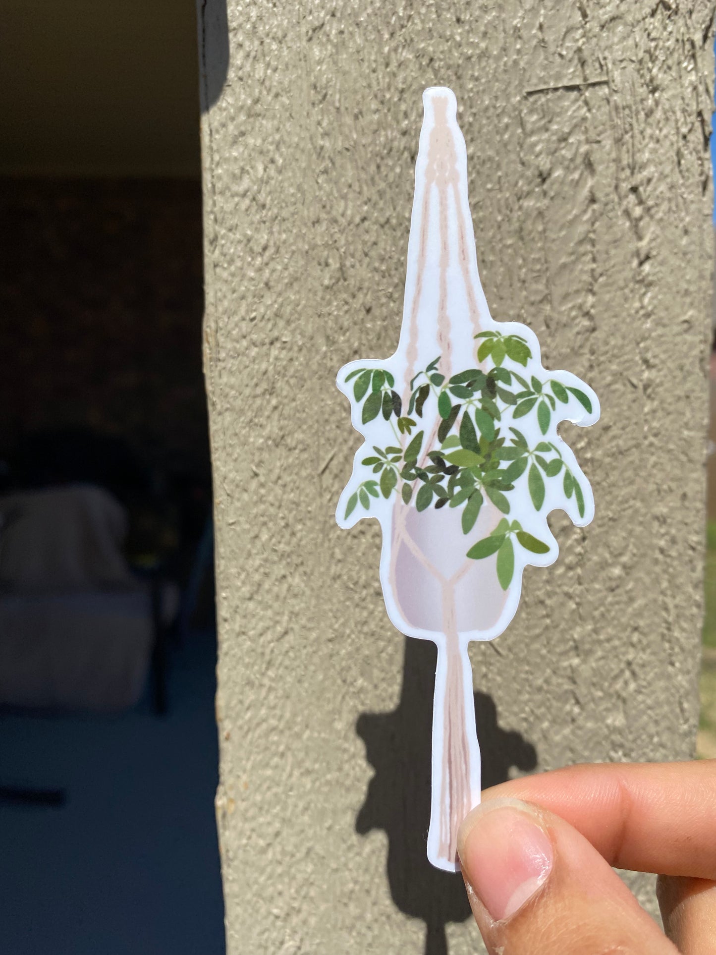 Plant hanging sticker